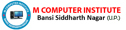 M Computer Institute